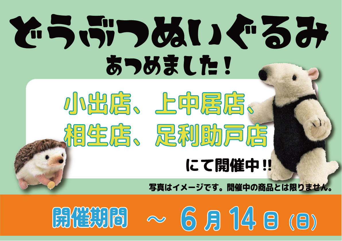 動物のぬいぐるみ集めました | 文真堂書店